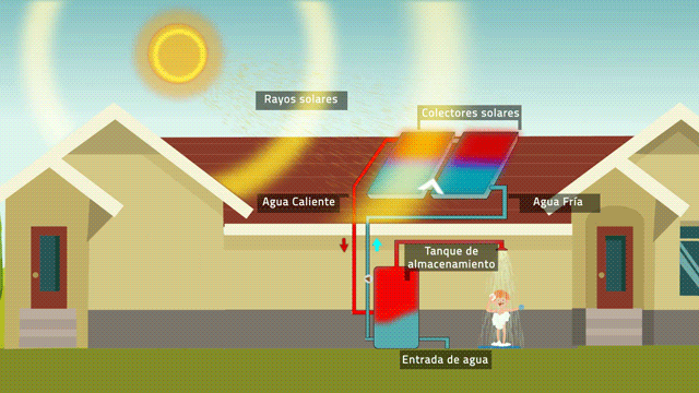 Ciclo - Solar Forzado